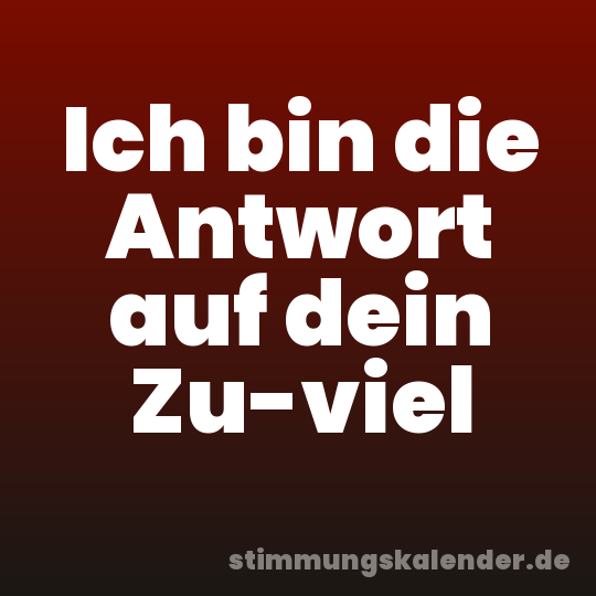 Ich bin die Antwort auf dein Zu-viel