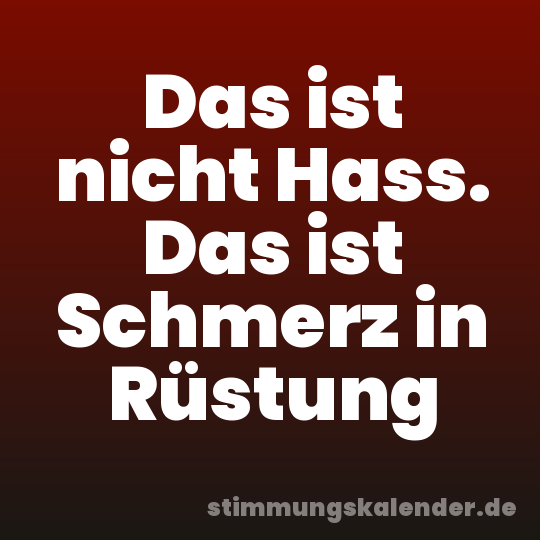 Das ist nicht Hass. Das ist Schmerz in Rüstung