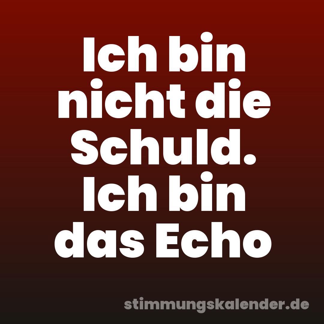 Ich bin nicht die Schuld. Ich bin das Echo