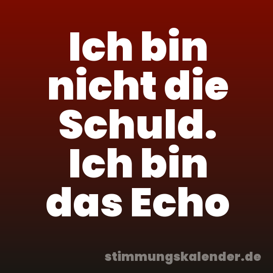Ich bin nicht die Schuld. Ich bin das Echo