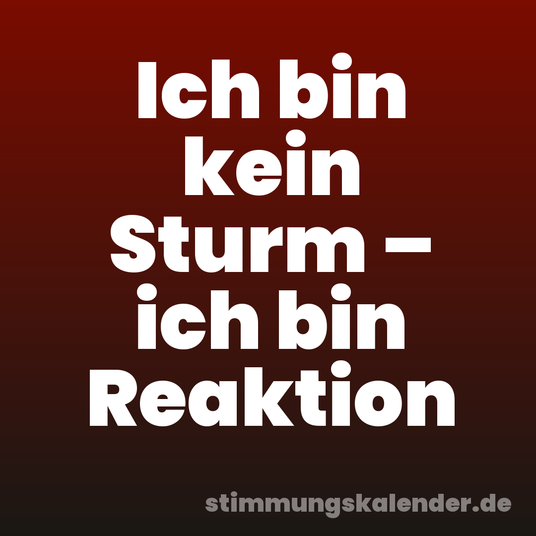 Ich bin kein Sturm – ich bin Reaktion