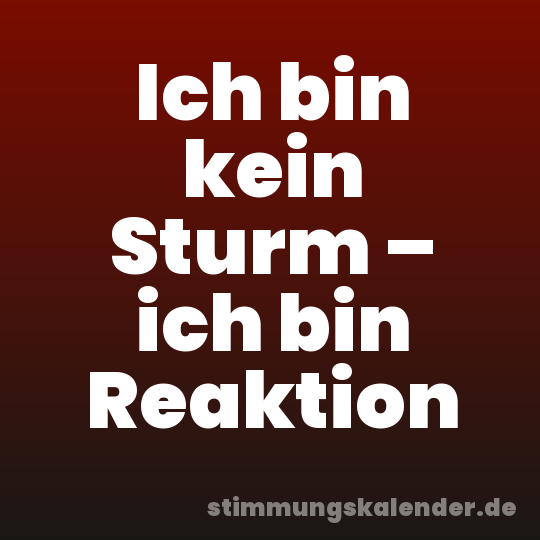 Ich bin kein Sturm – ich bin Reaktion