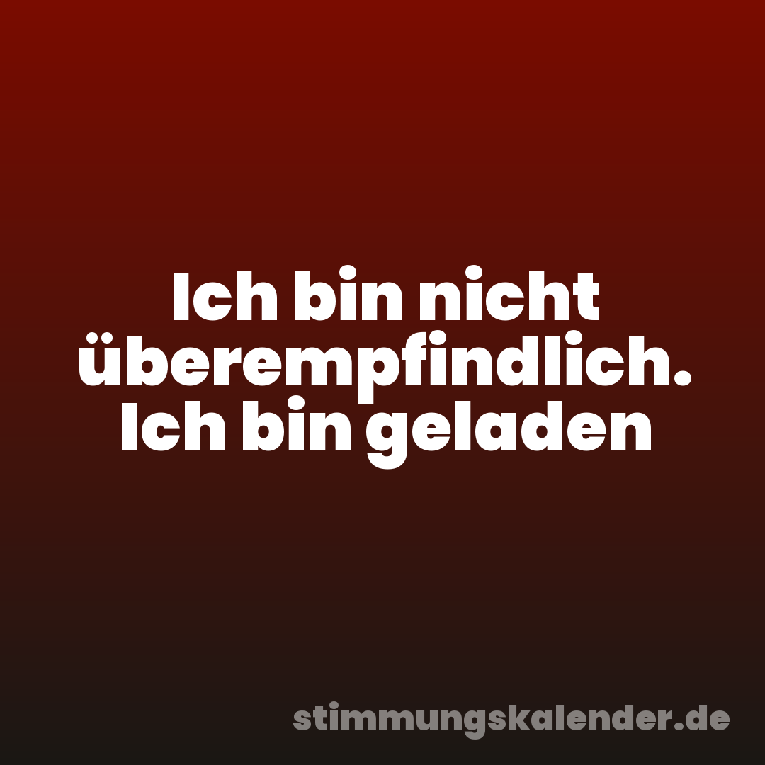 Ich bin nicht überempfindlich. Ich bin geladen