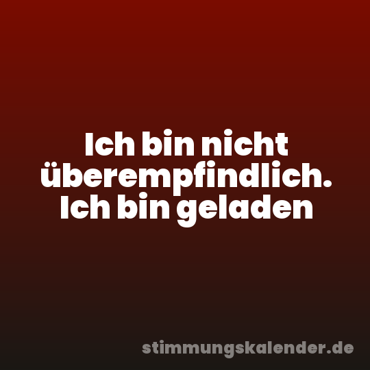 Ich bin nicht überempfindlich. Ich bin geladen