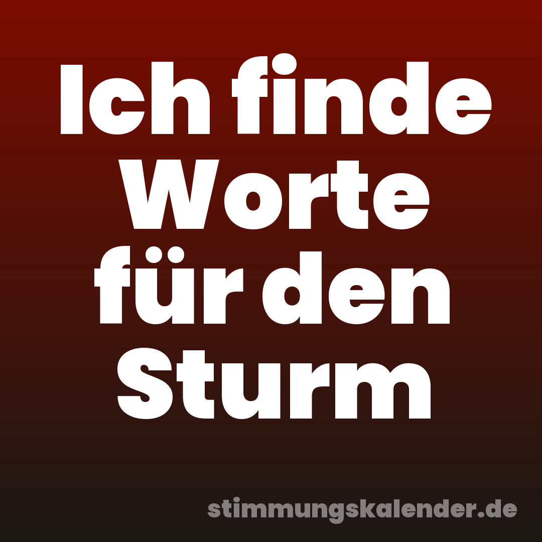Ich finde Worte für den Sturm