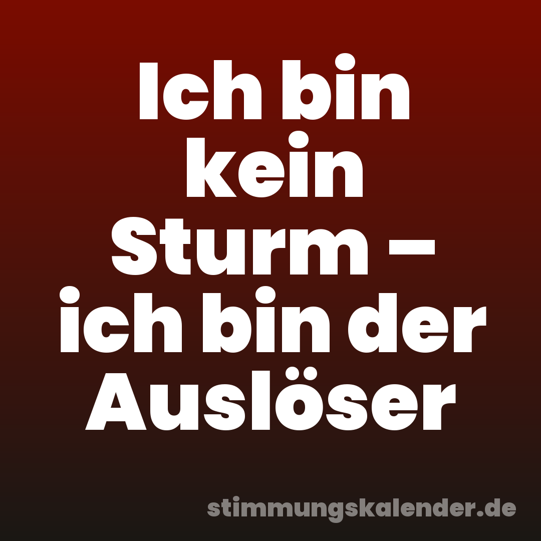Ich bin kein Sturm – ich bin der Auslöser