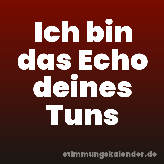 Ich bin das Echo deines Tuns