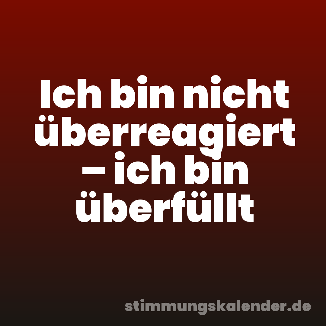 Ich bin nicht überreagiert – ich bin überfüllt
