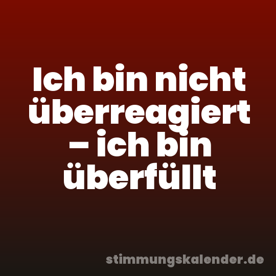 Ich bin nicht überreagiert – ich bin überfüllt