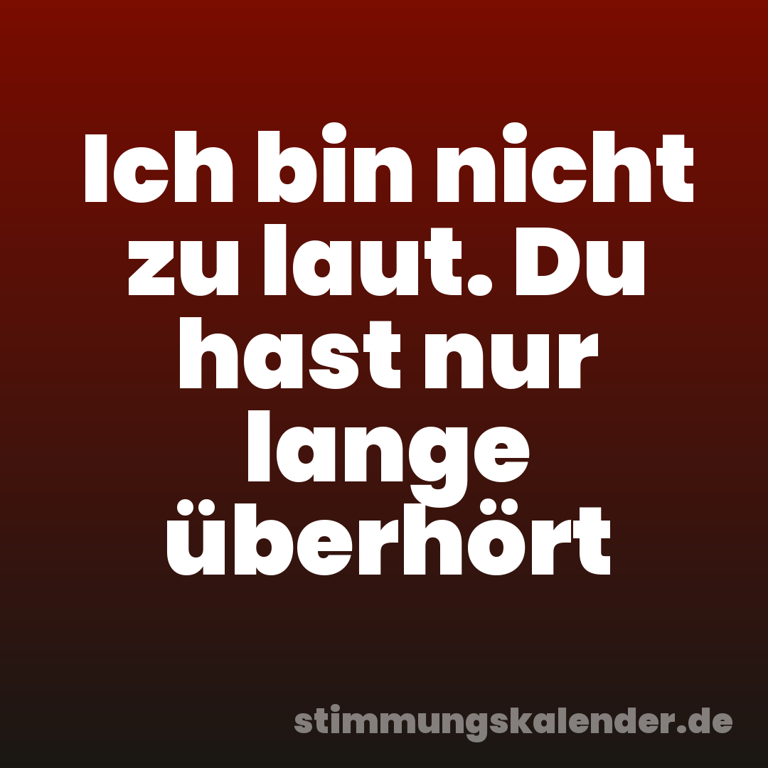 Ich bin nicht zu laut. Du hast nur lange überhört