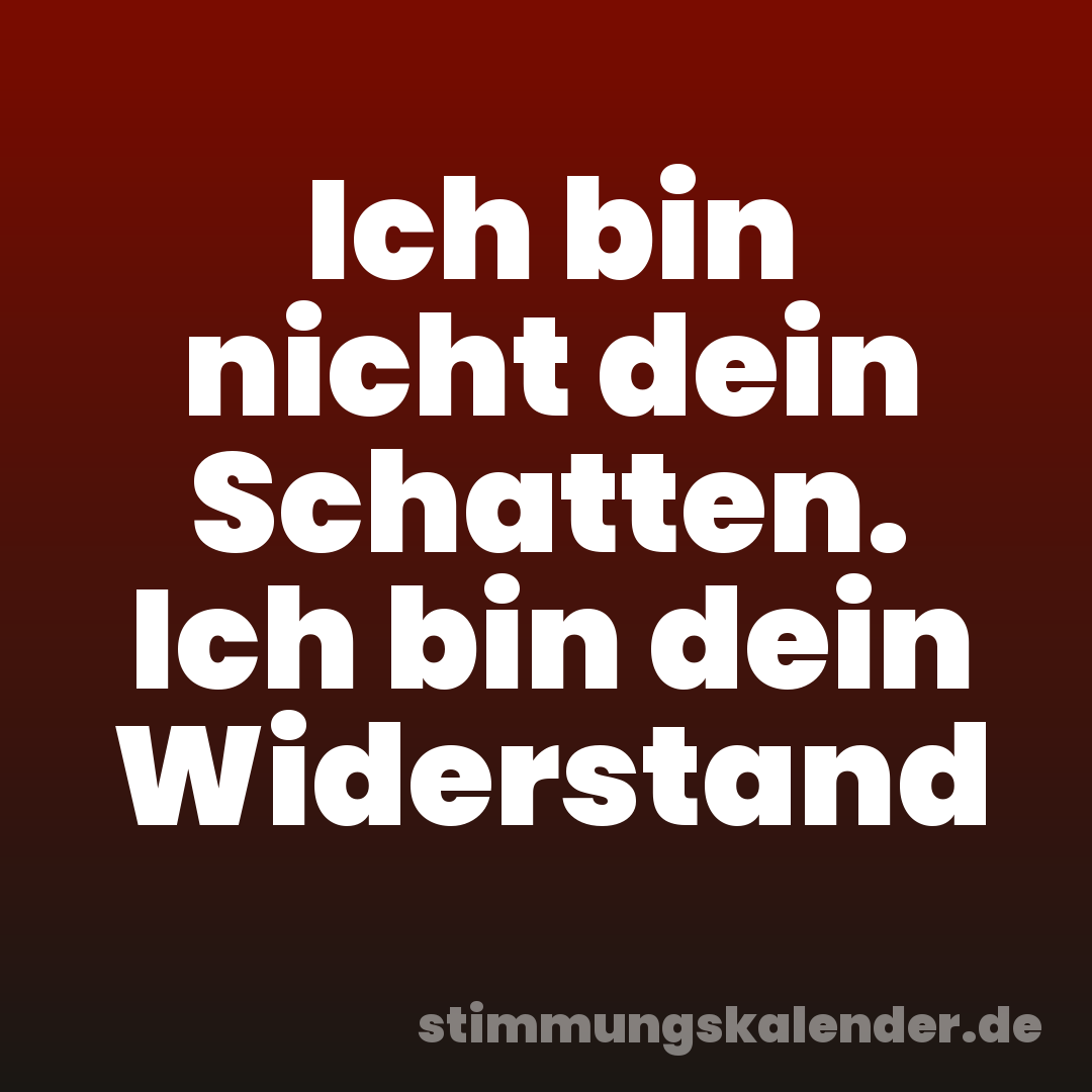 Ich bin nicht dein Schatten. Ich bin dein Widerstand