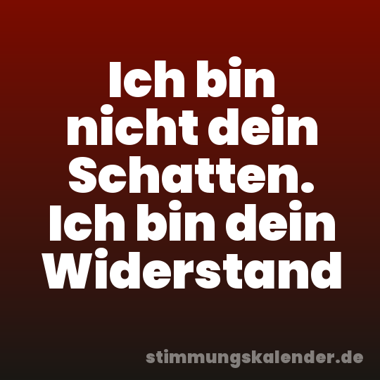 Ich bin nicht dein Schatten. Ich bin dein Widerstand