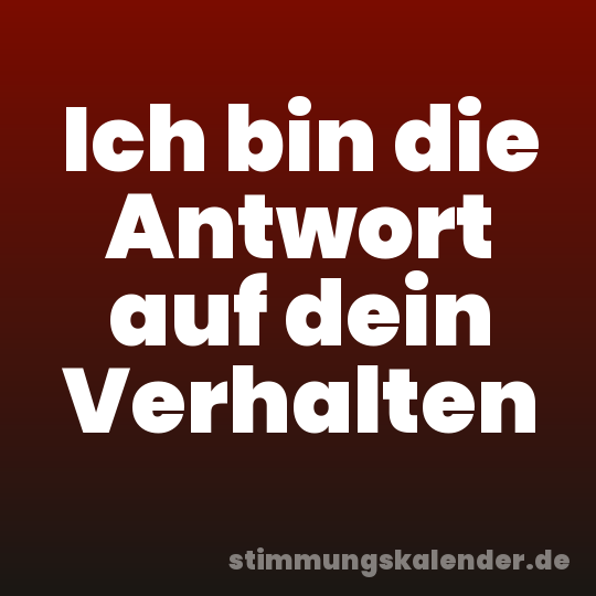 Ich bin die Antwort auf dein Verhalten