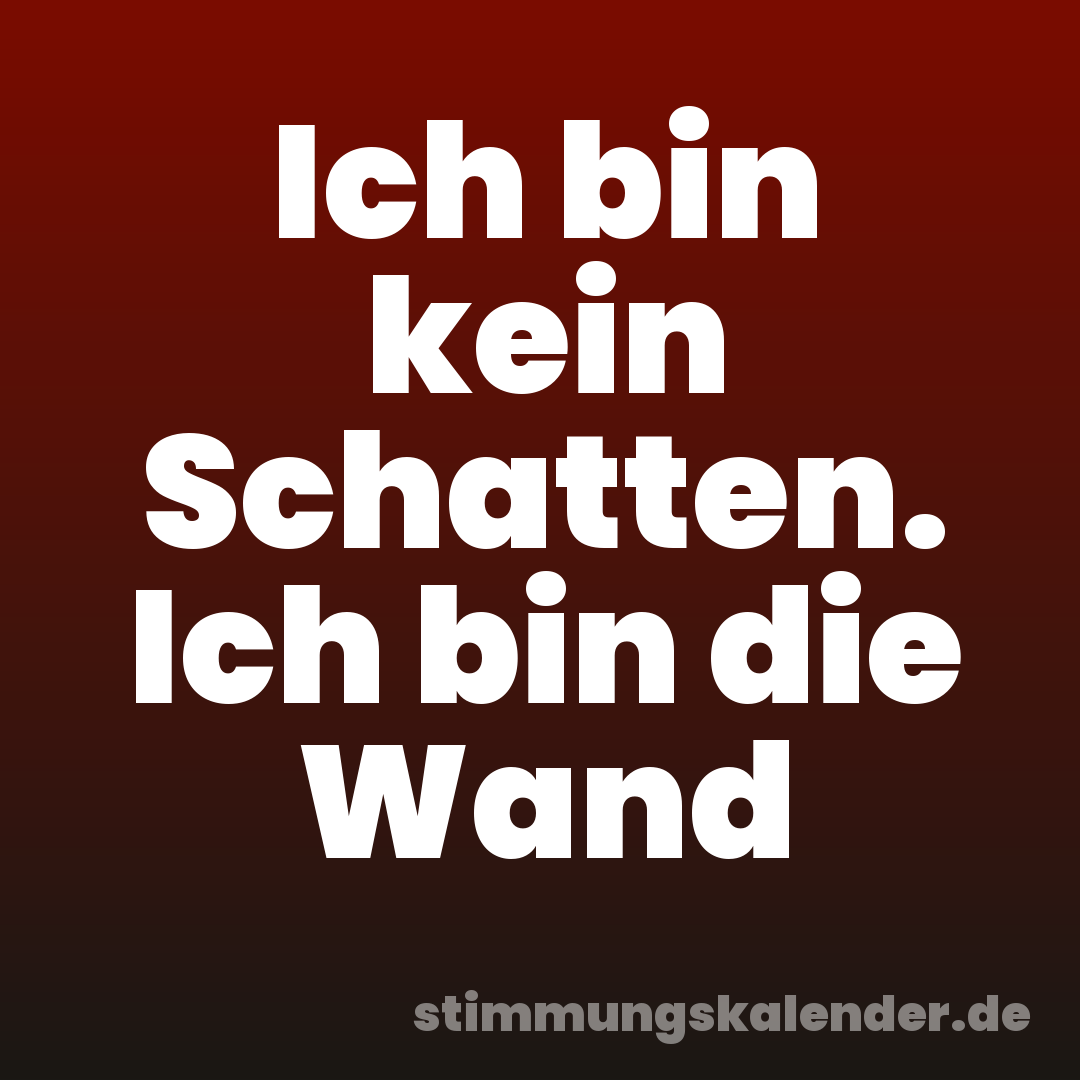 Ich bin kein Schatten. Ich bin die Wand