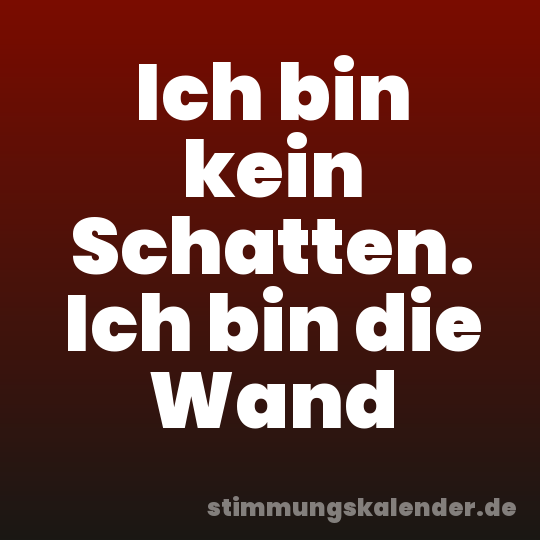Ich bin kein Schatten. Ich bin die Wand