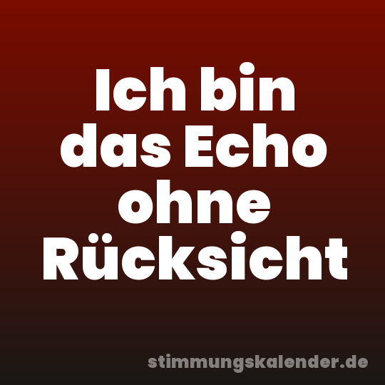 Ich bin das Echo ohne Rücksicht