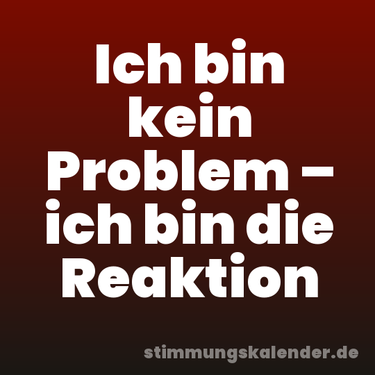 Ich bin kein Problem – ich bin die Reaktion