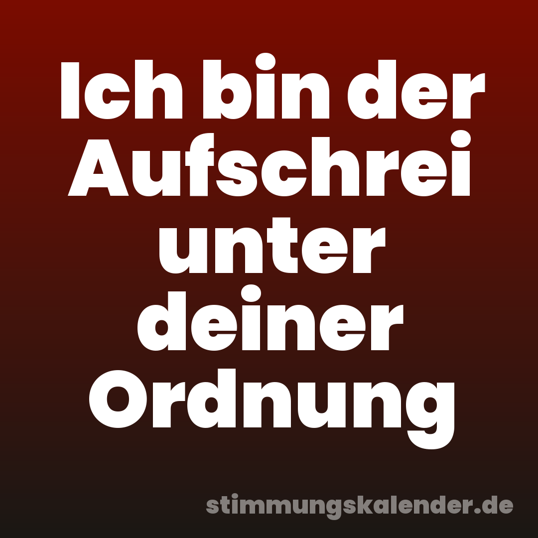 Ich bin der Aufschrei unter deiner Ordnung