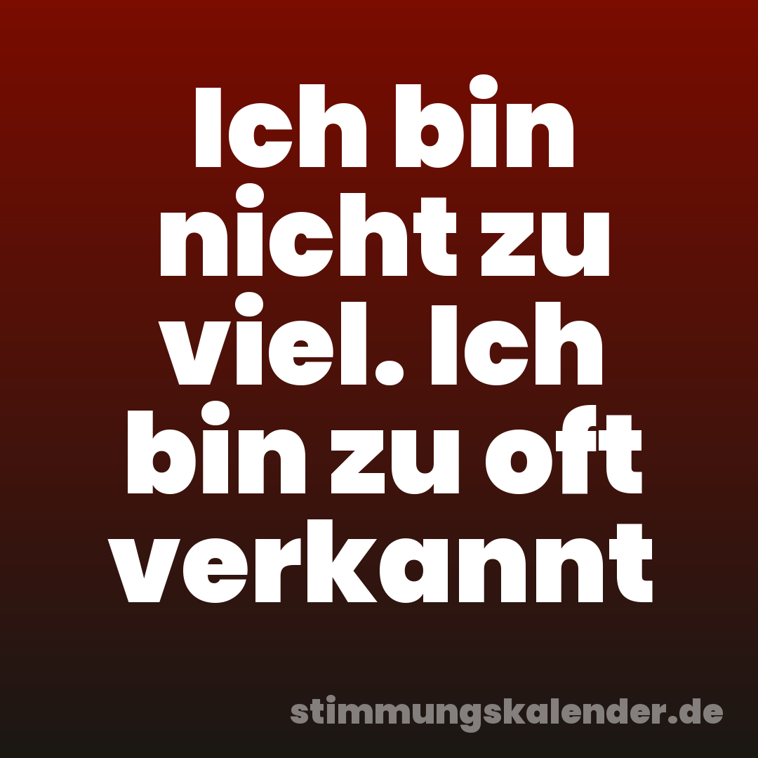 Ich bin nicht zu viel. Ich bin zu oft verkannt