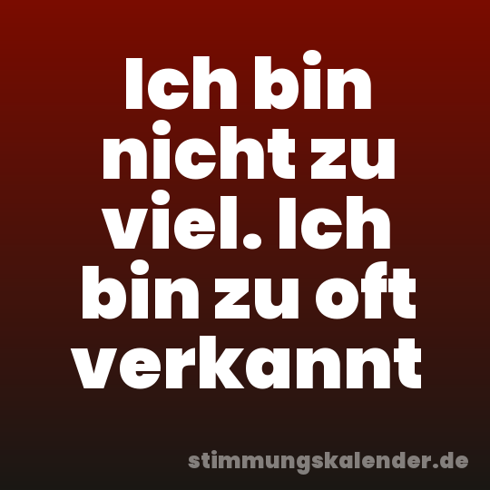 Ich bin nicht zu viel. Ich bin zu oft verkannt
