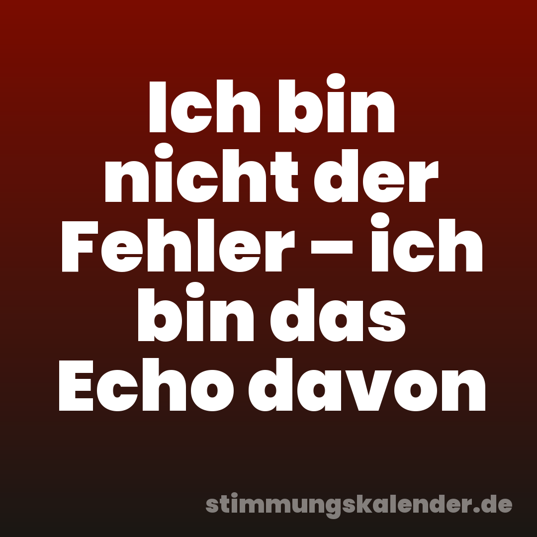Ich bin nicht der Fehler – ich bin das Echo davon