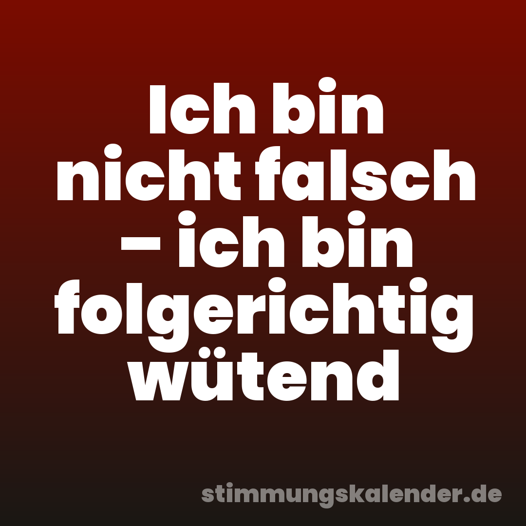 Ich bin nicht falsch – ich bin folgerichtig wütend