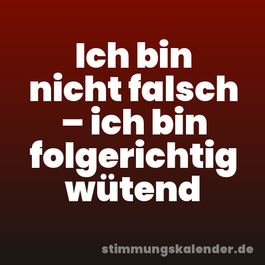 Ich bin nicht falsch – ich bin folgerichtig wütend