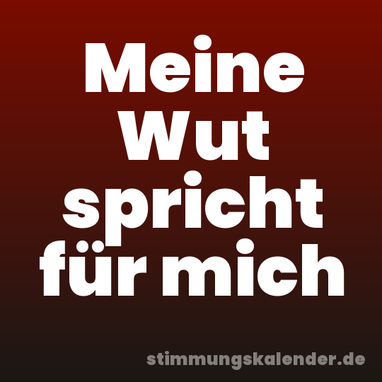 Meine Wut spricht für mich