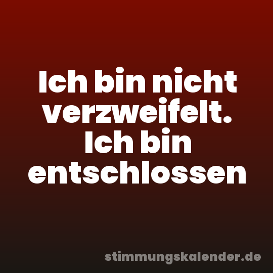 Ich bin nicht verzweifelt. Ich bin entschlossen