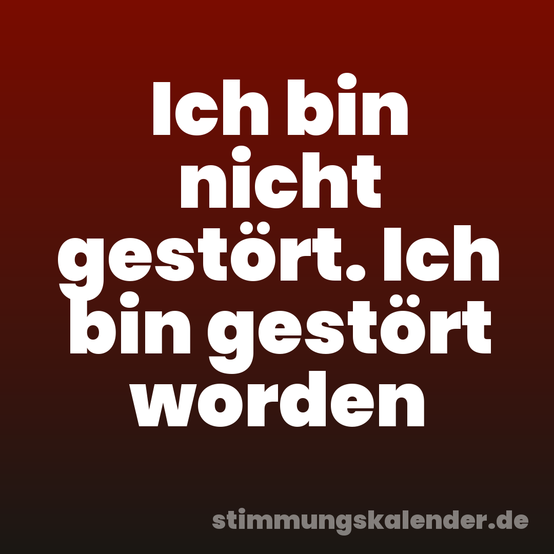 Ich bin nicht gestört. Ich bin gestört worden