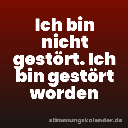 Ich bin nicht gestört. Ich bin gestört worden