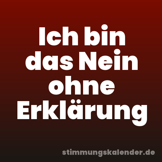 Ich bin das Nein ohne Erklärung