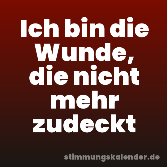 Ich bin die Wunde, die nicht mehr zudeckt
