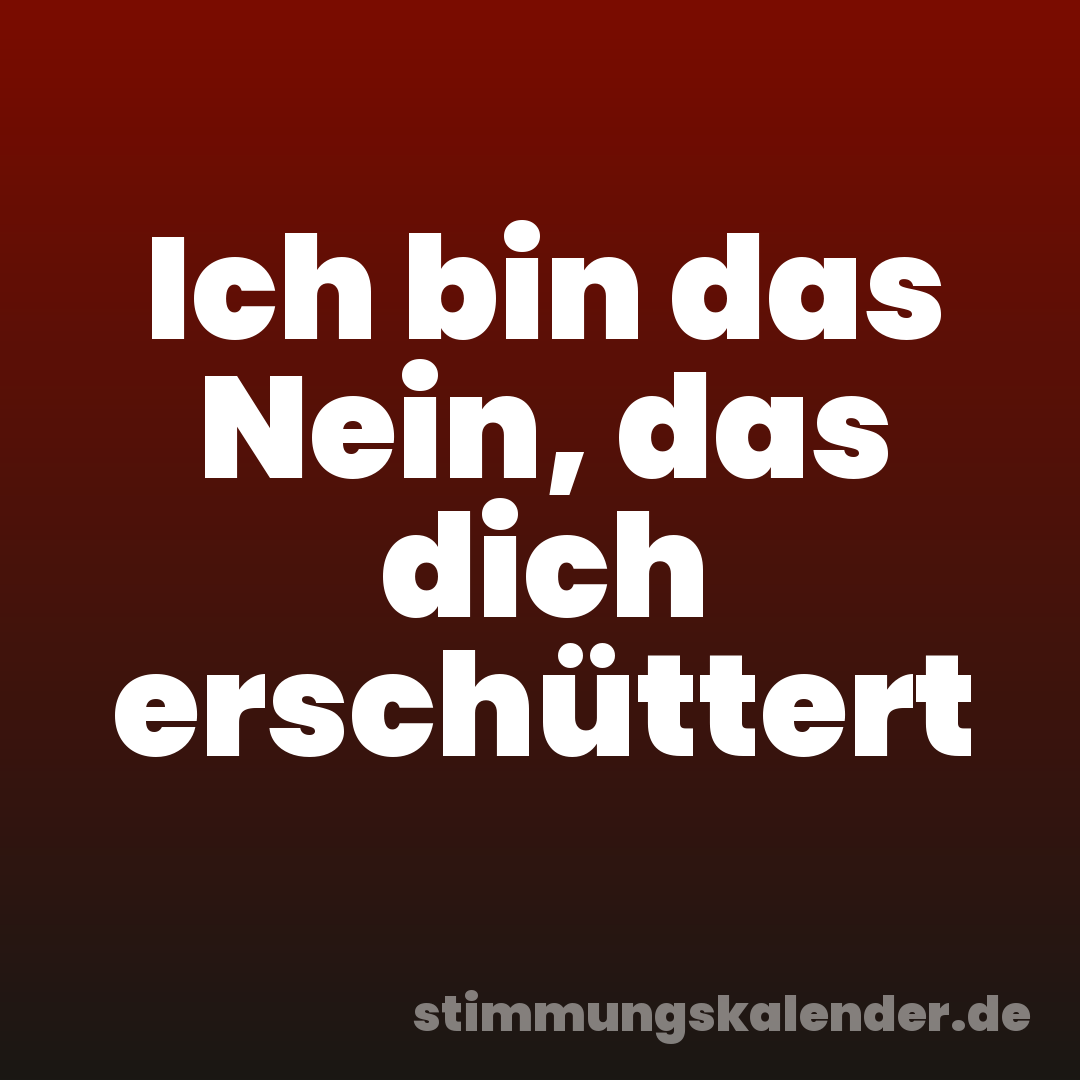 Ich bin das Nein, das dich erschüttert
