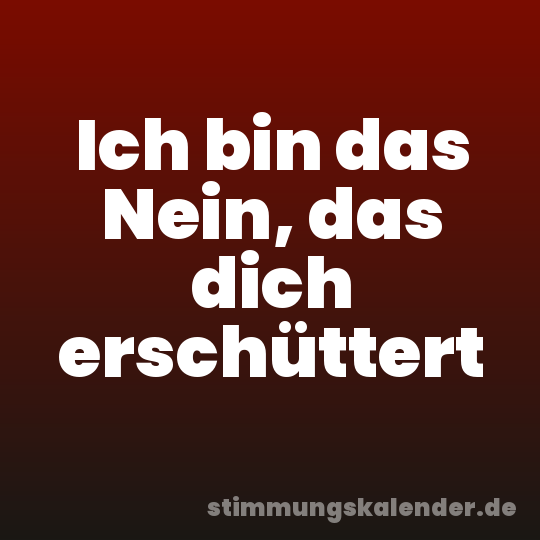 Ich bin das Nein, das dich erschüttert