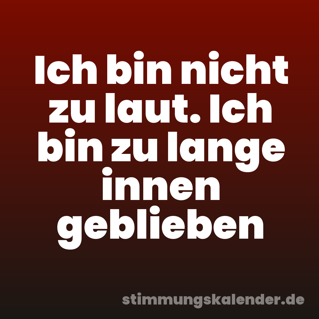 Ich bin nicht zu laut. Ich bin zu lange innen geblieben
