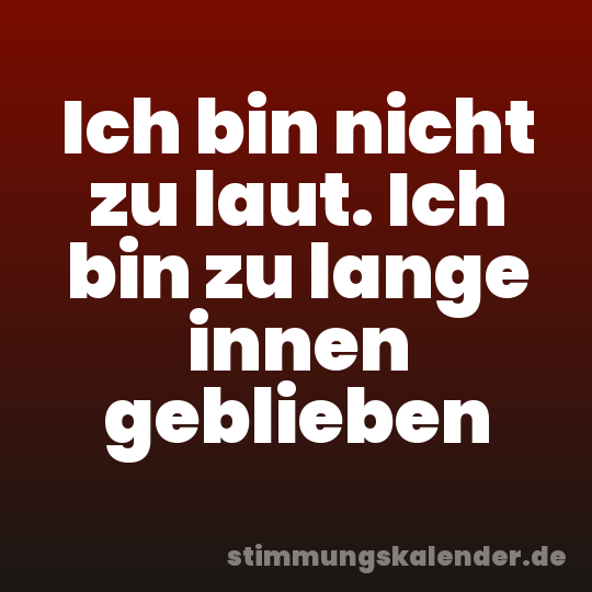 Ich bin nicht zu laut. Ich bin zu lange innen geblieben