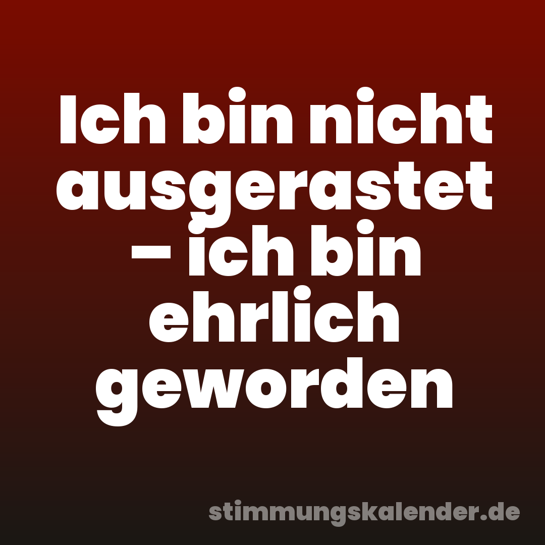 Ich bin nicht ausgerastet – ich bin ehrlich geworden