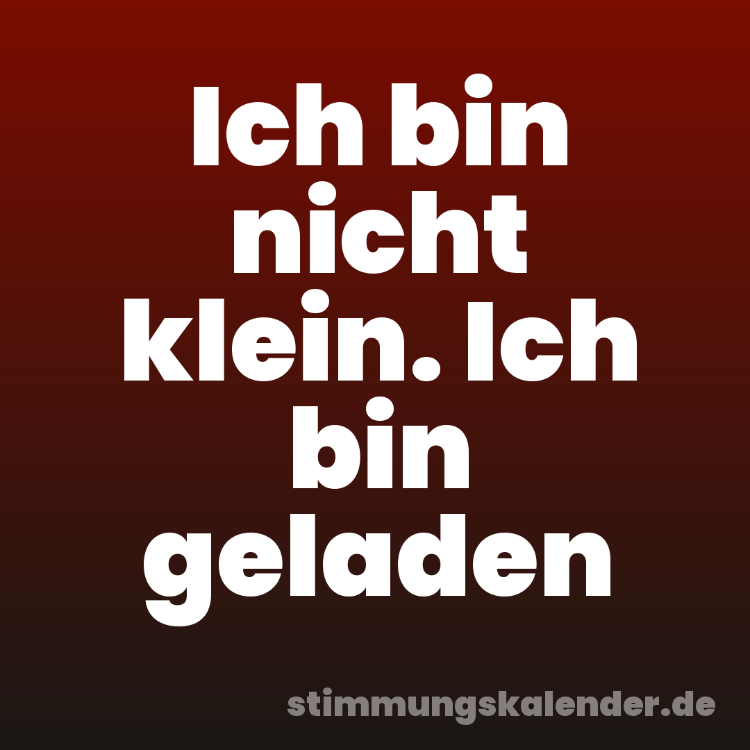 Ich bin nicht klein. Ich bin geladen