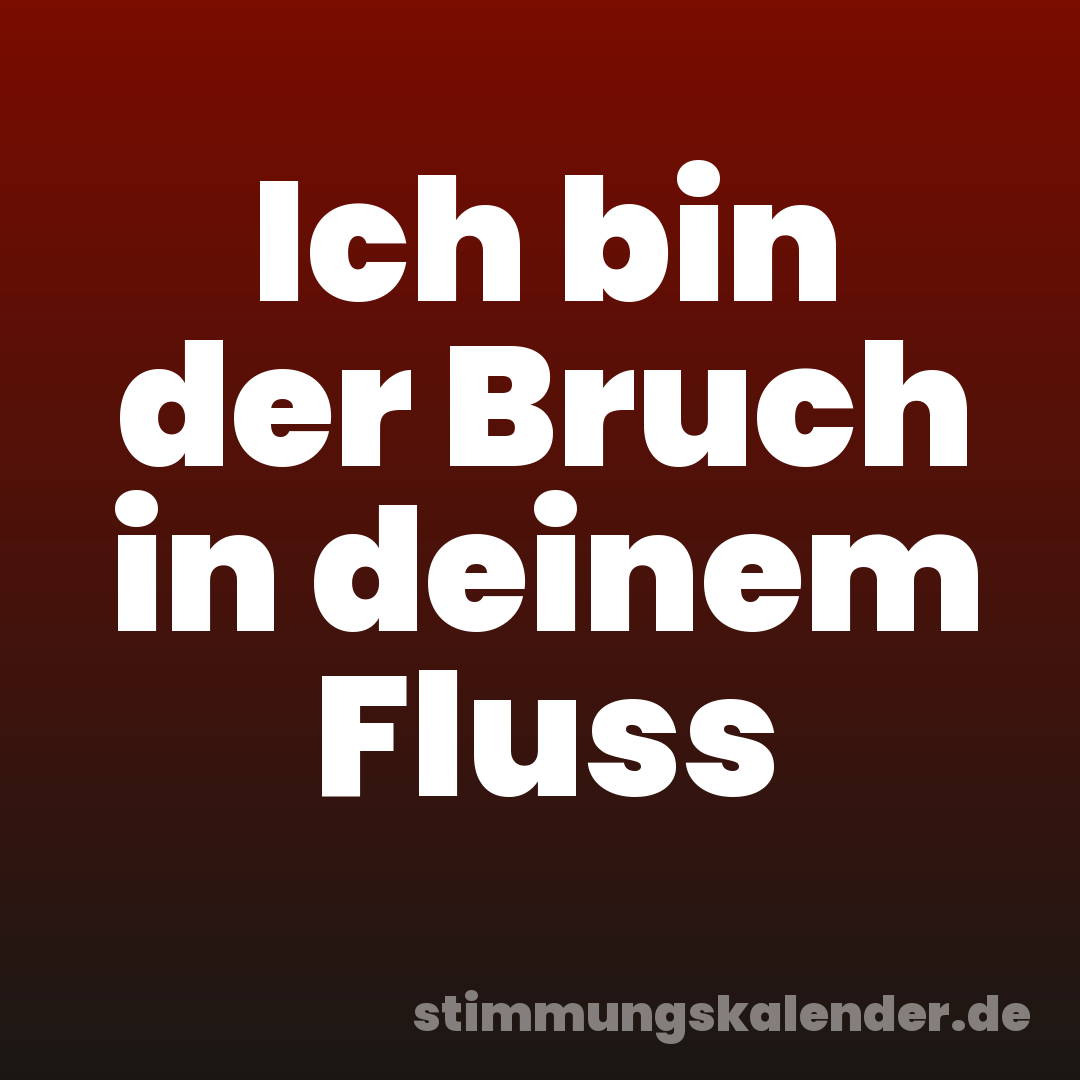 Ich bin der Bruch in deinem Fluss