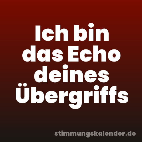 Ich bin das Echo deines Übergriffs