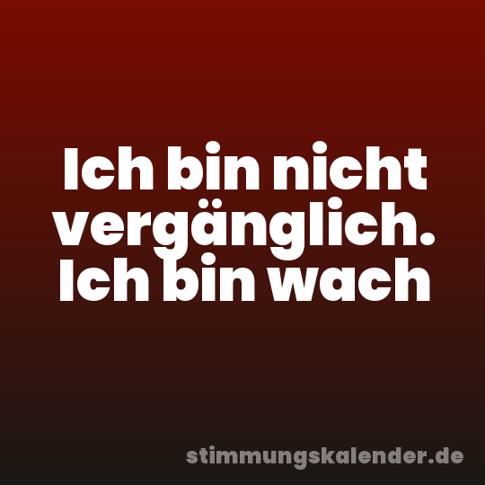 Ich bin nicht vergänglich. Ich bin wach