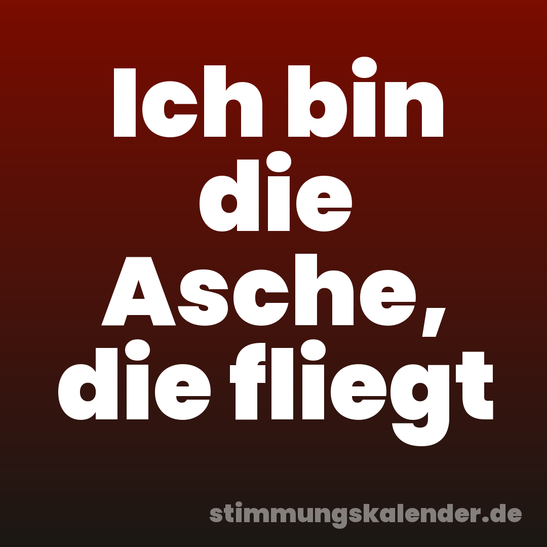 Ich bin die Asche, die fliegt