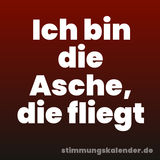 Ich bin die Asche, die fliegt