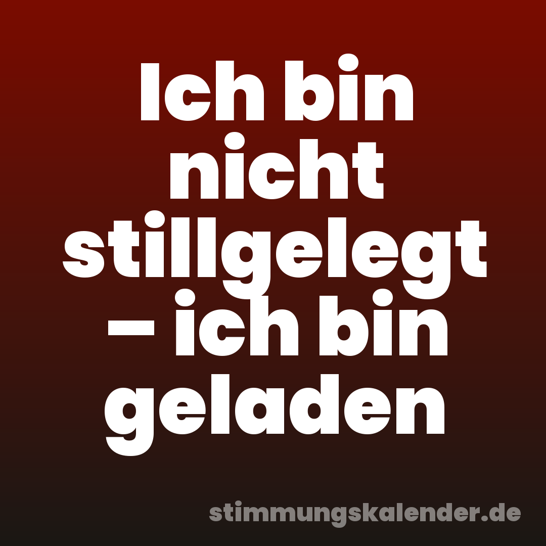 Ich bin nicht stillgelegt – ich bin geladen
