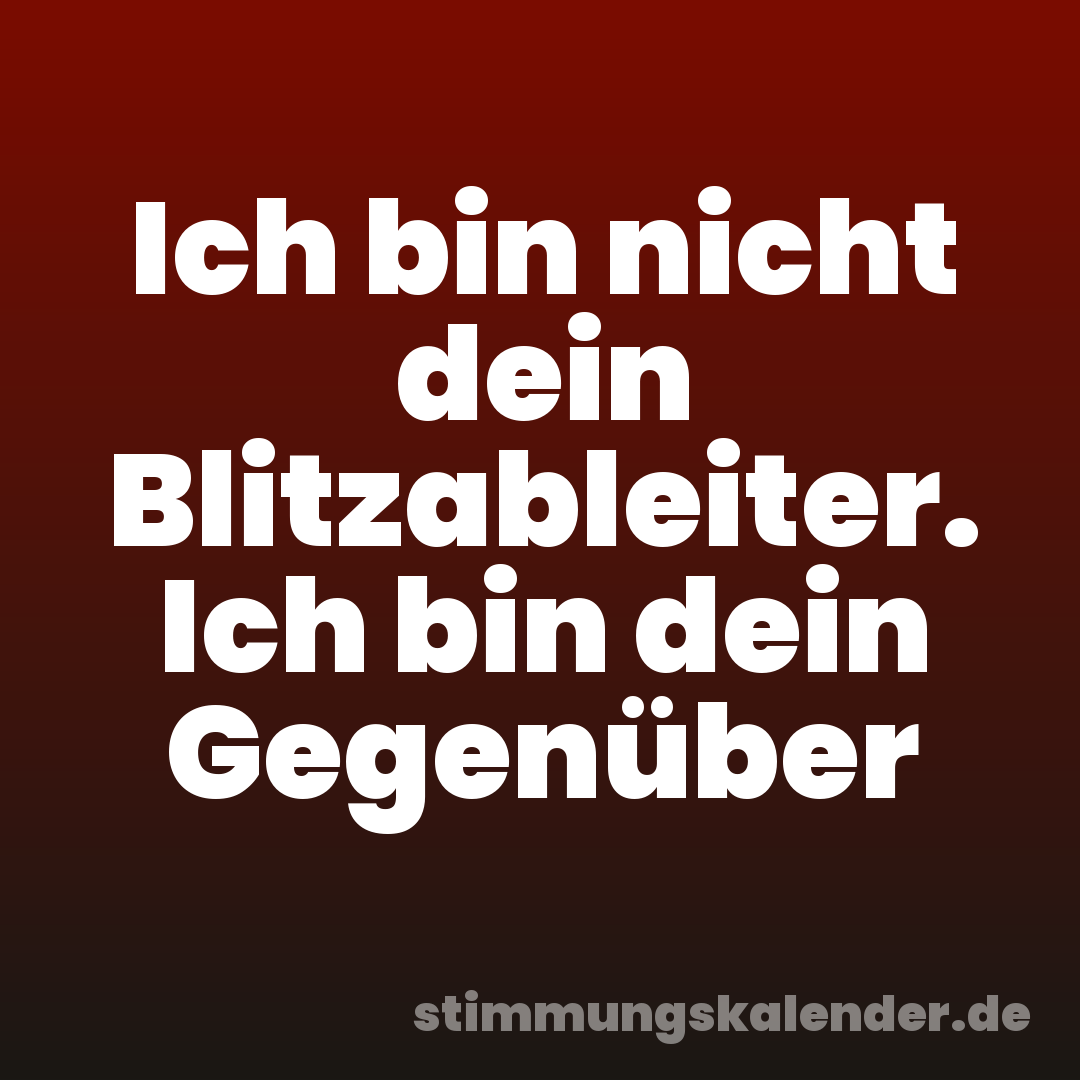 Ich bin nicht dein Blitzableiter. Ich bin dein Gegenüber