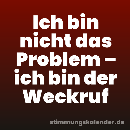 Ich bin nicht das Problem – ich bin der Weckruf