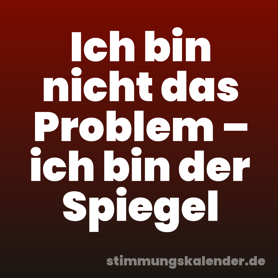 Ich bin nicht das Problem – ich bin der Spiegel