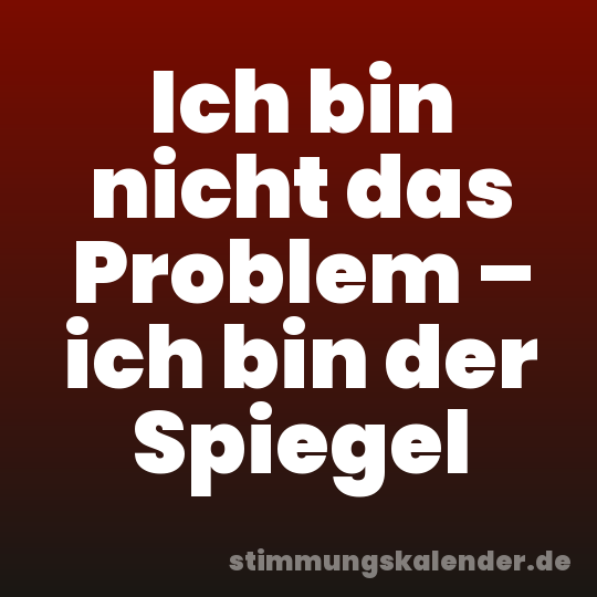 Ich bin nicht das Problem – ich bin der Spiegel