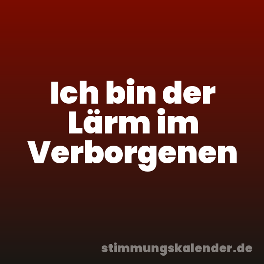 Ich bin der Lärm im Verborgenen